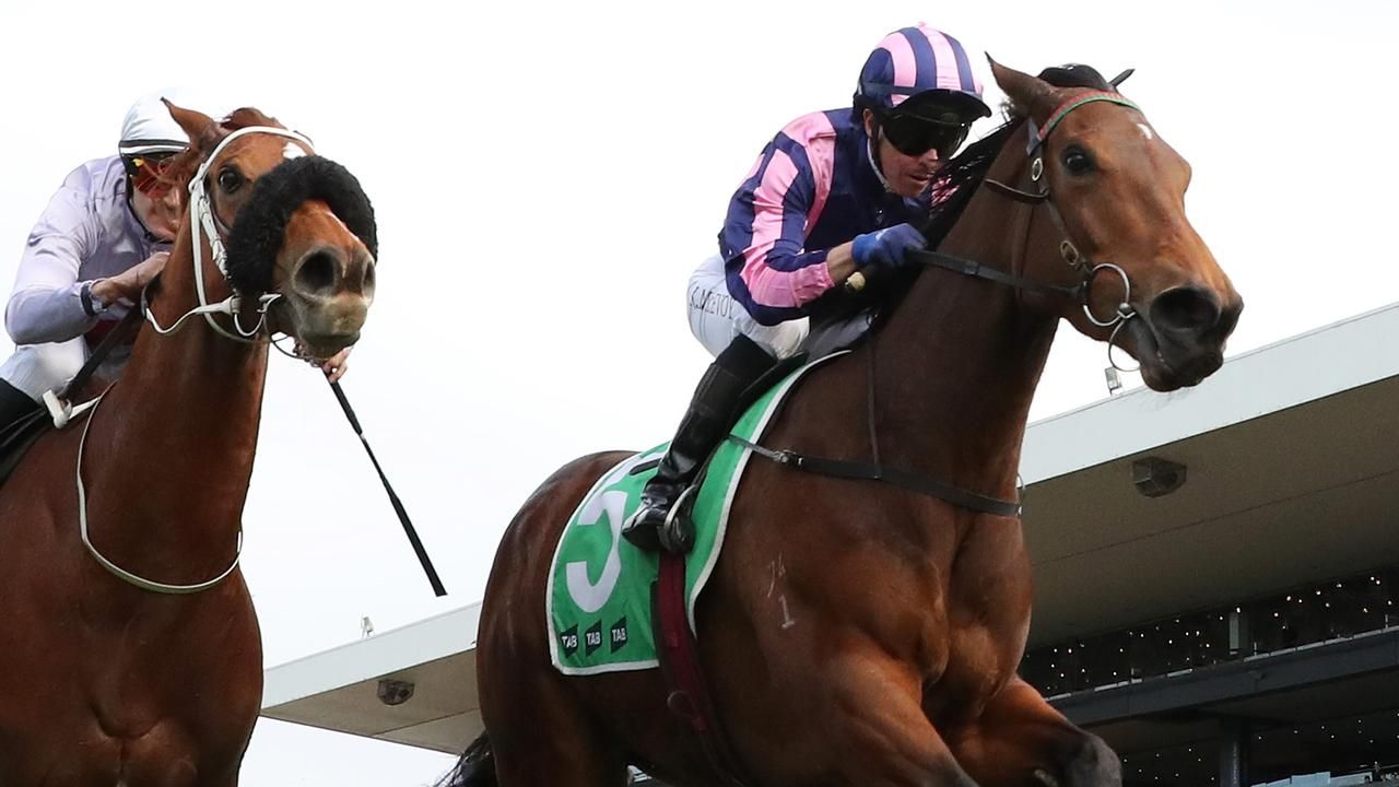 Jett Hatton's blackbook: Five to follow from Rosehill Gardens on Saturday