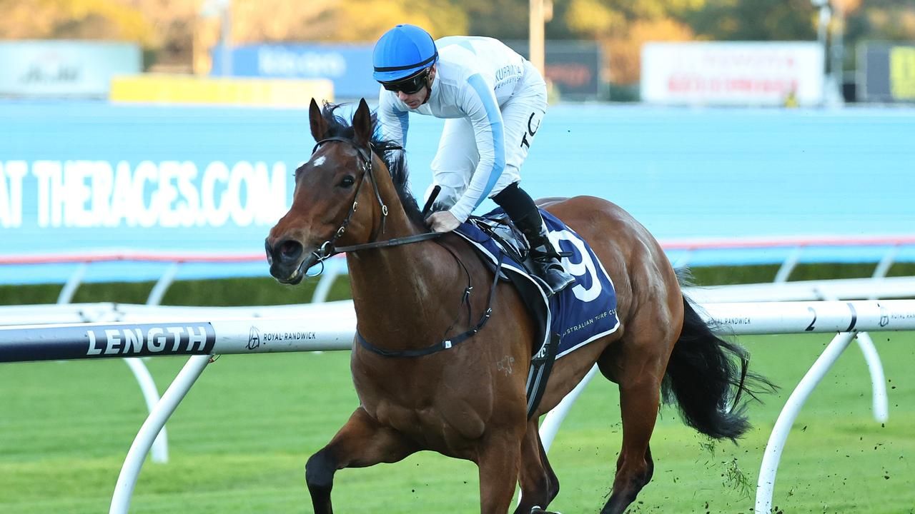 10 horses that could surge into The Kosciuszko mix