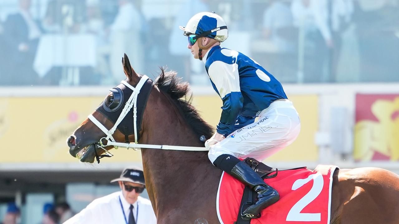 Buck stops here: McNeil gets Memsie wish aboard 'old mate'