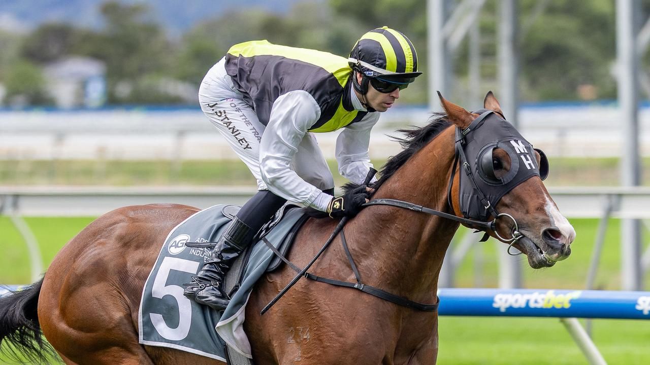 'He will repay us': Hickmott calls on $1.1m buy to Cash in