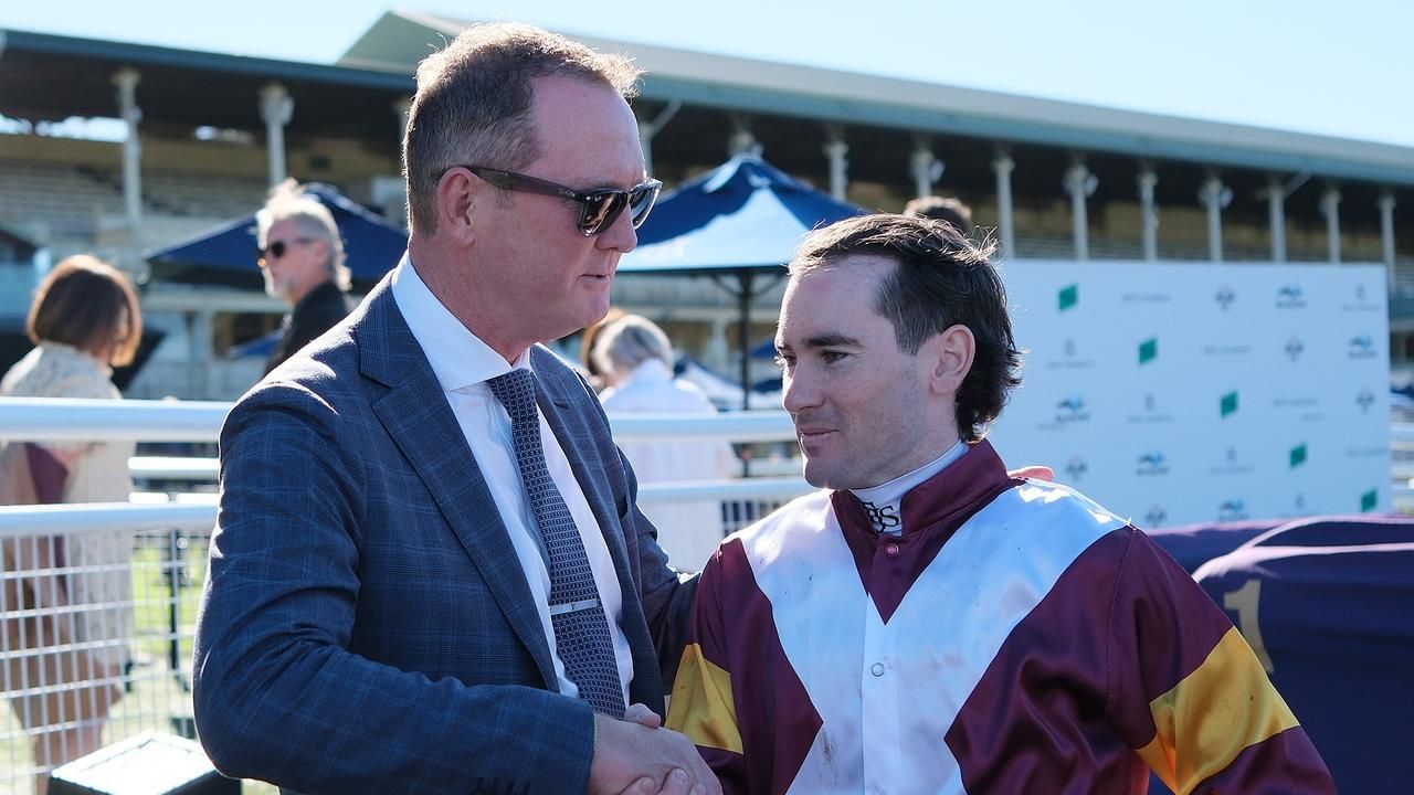 Wild plunge has boom colt $26 into $6.50 for San Domenico