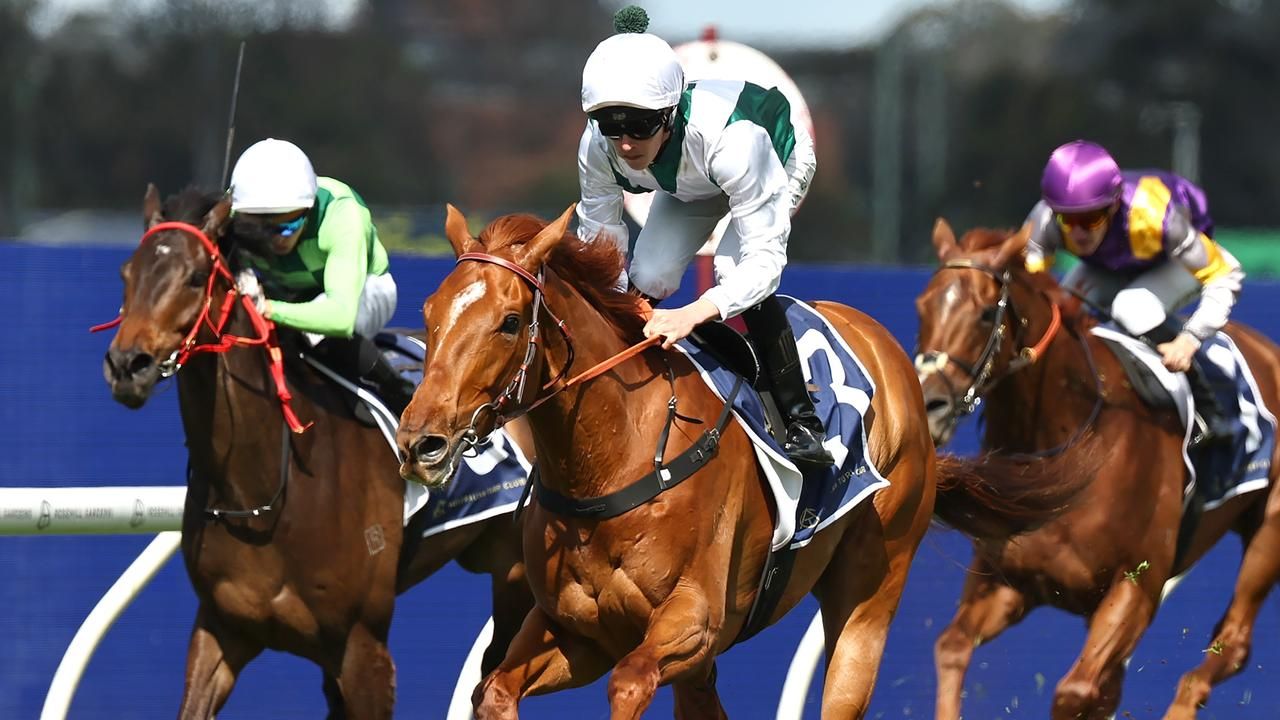 Aethelwulf makes it three straight to surge into Metrop favouritism