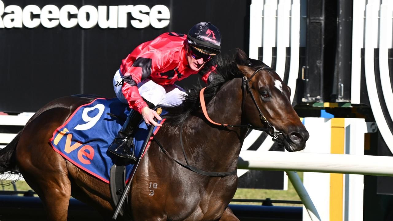 American Eagle rises to McNeil challenge, opens Group 1 options