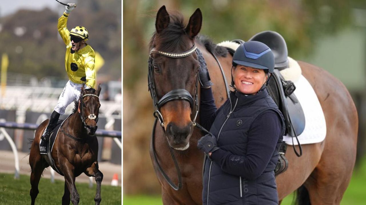 Fight goes on as Melbourne Cup champ begins new career