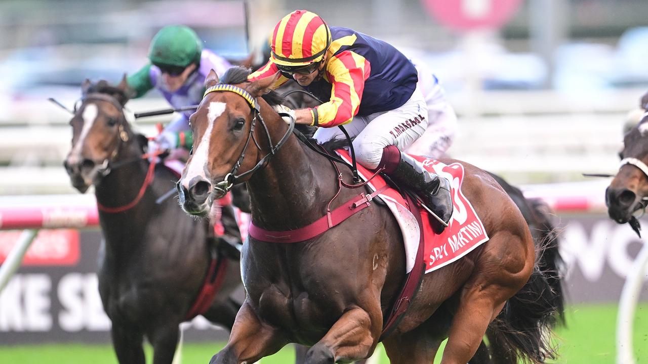 Spicy Martini crowned Queensland Horse Of The Year