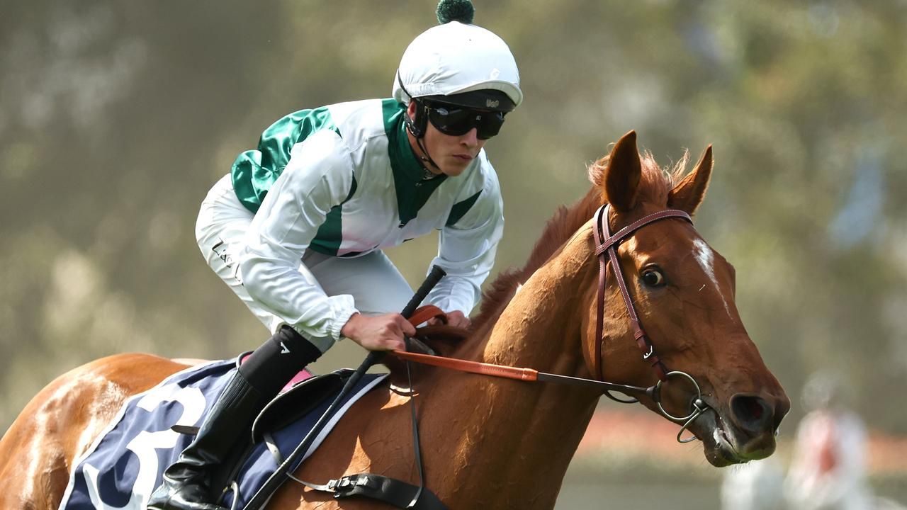 Jett Hatton's Blackbook: Five to follow from Rosehill