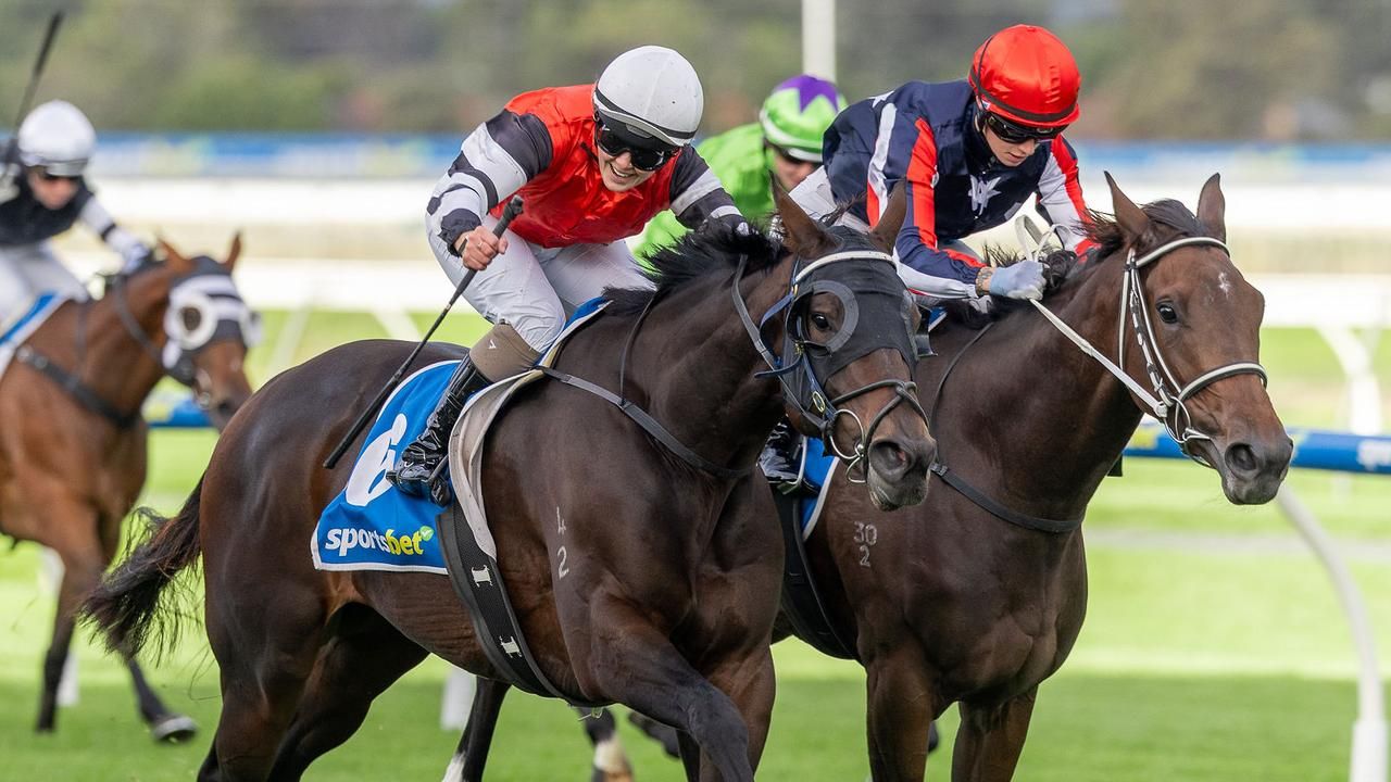 Curtain Call? Exciting mare facing career crossroads