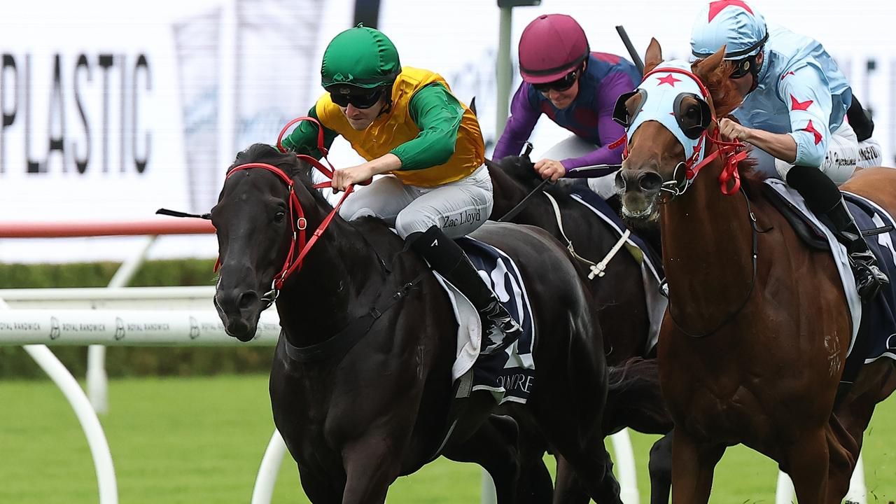 'Better than ever': Pride upbeat on comeback mare's Sheraco return