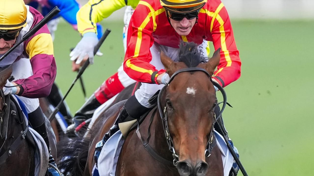 'Bruised and battered': Group 1 winner's spring in doubt