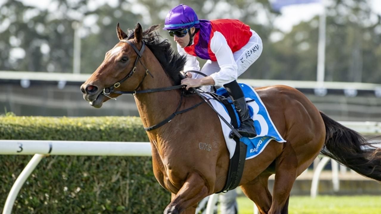 Golden Rose hopes on the line for Castillo King