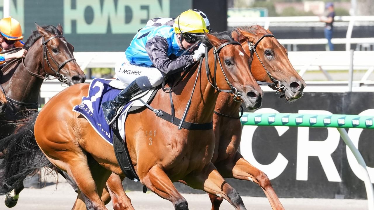 Sydney raiders sweep key Flemington Group 1 lead-ups