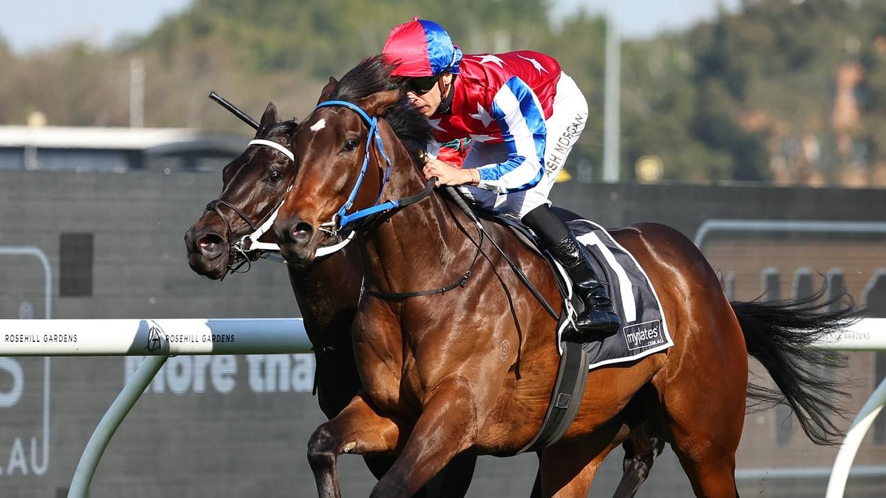 Persian Wonder on course for Group 1 despite pedigree query