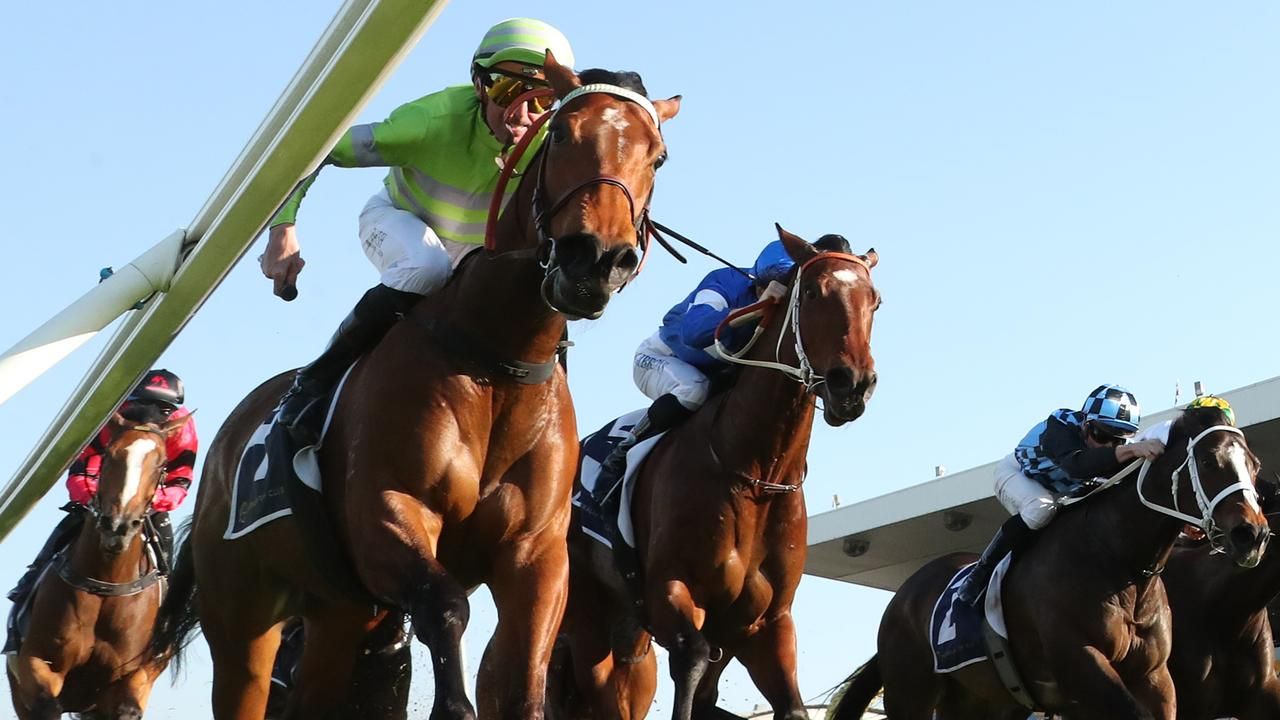 Savvy Hallie joins Everest discussion with dramatic turnaround
