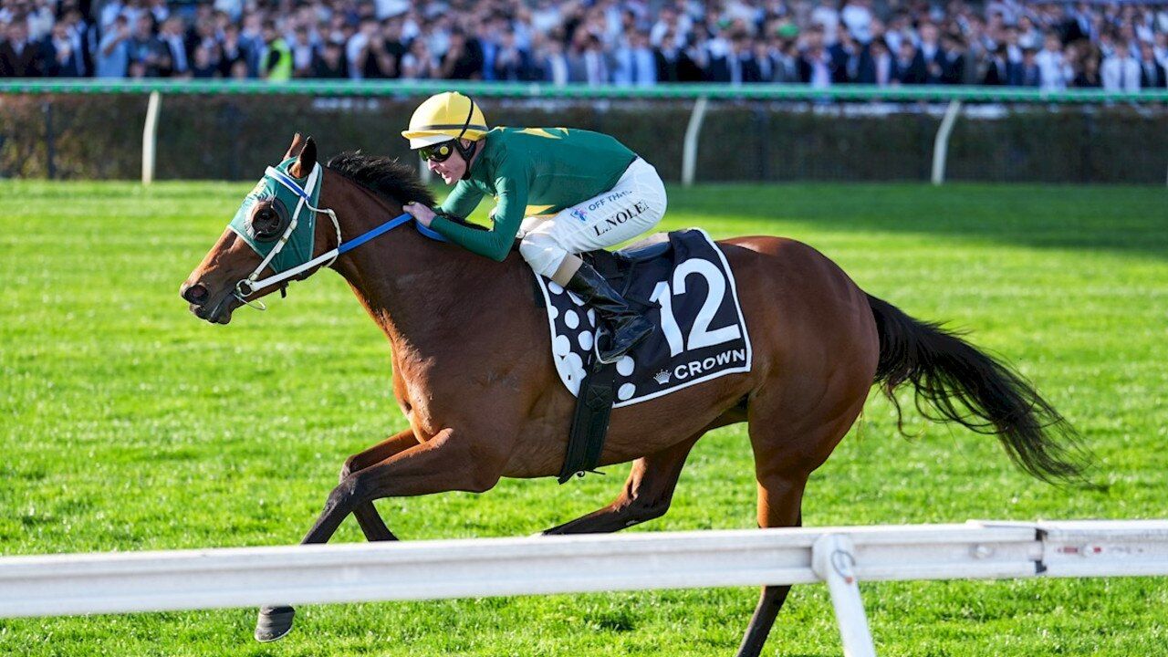 The big bets review from Saturday's racing: Sheza Alibi delivers for punters