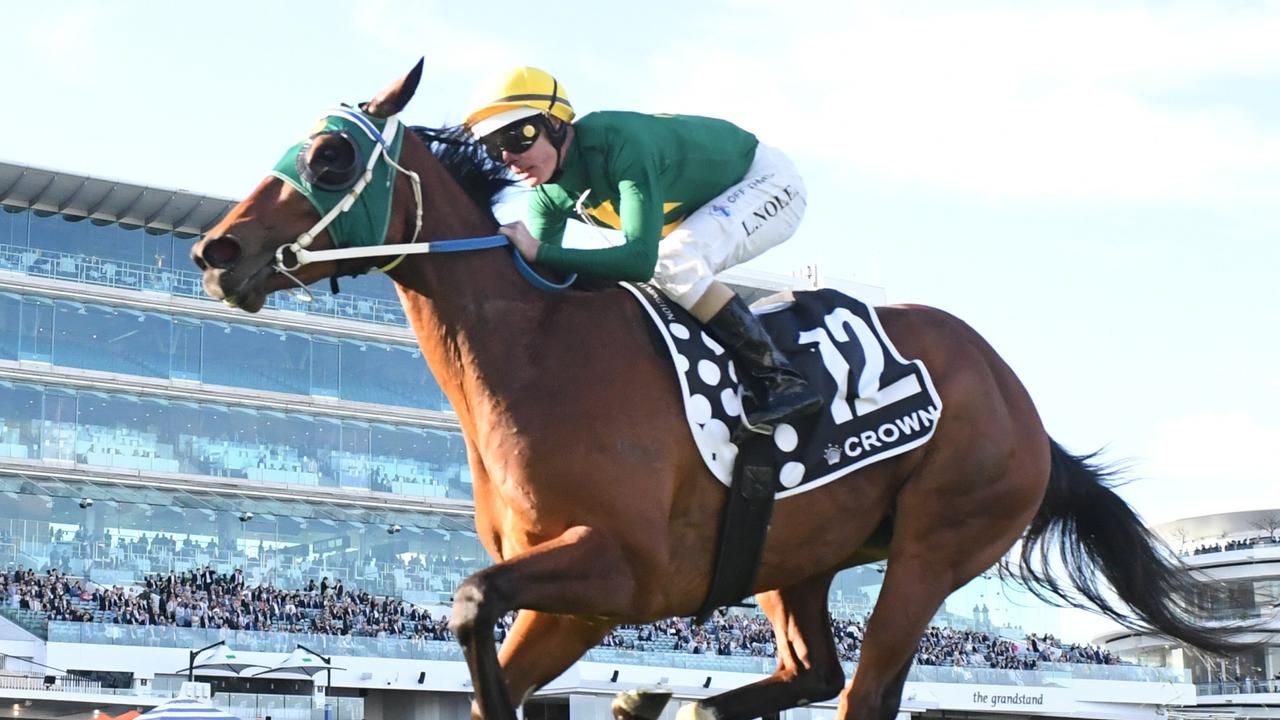 Brad Waters' horses to follow from Flemington on Saturday