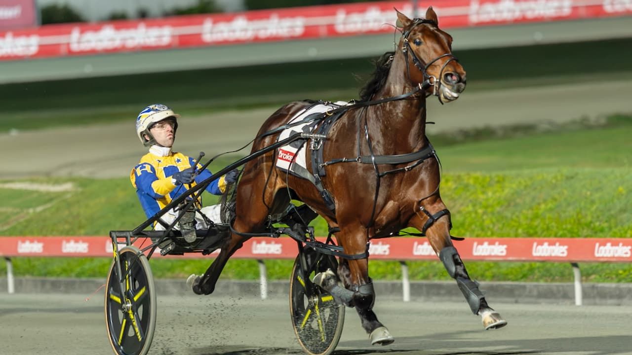 Inception Hand Gun 2026 Victoria Cup harness: Captains Mistress to rewrite records