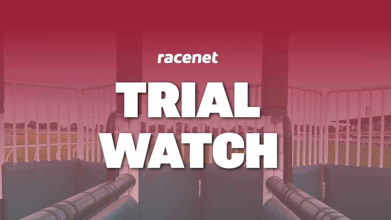 'Can win more than once this prep': Five to follow from NSW barrier trials