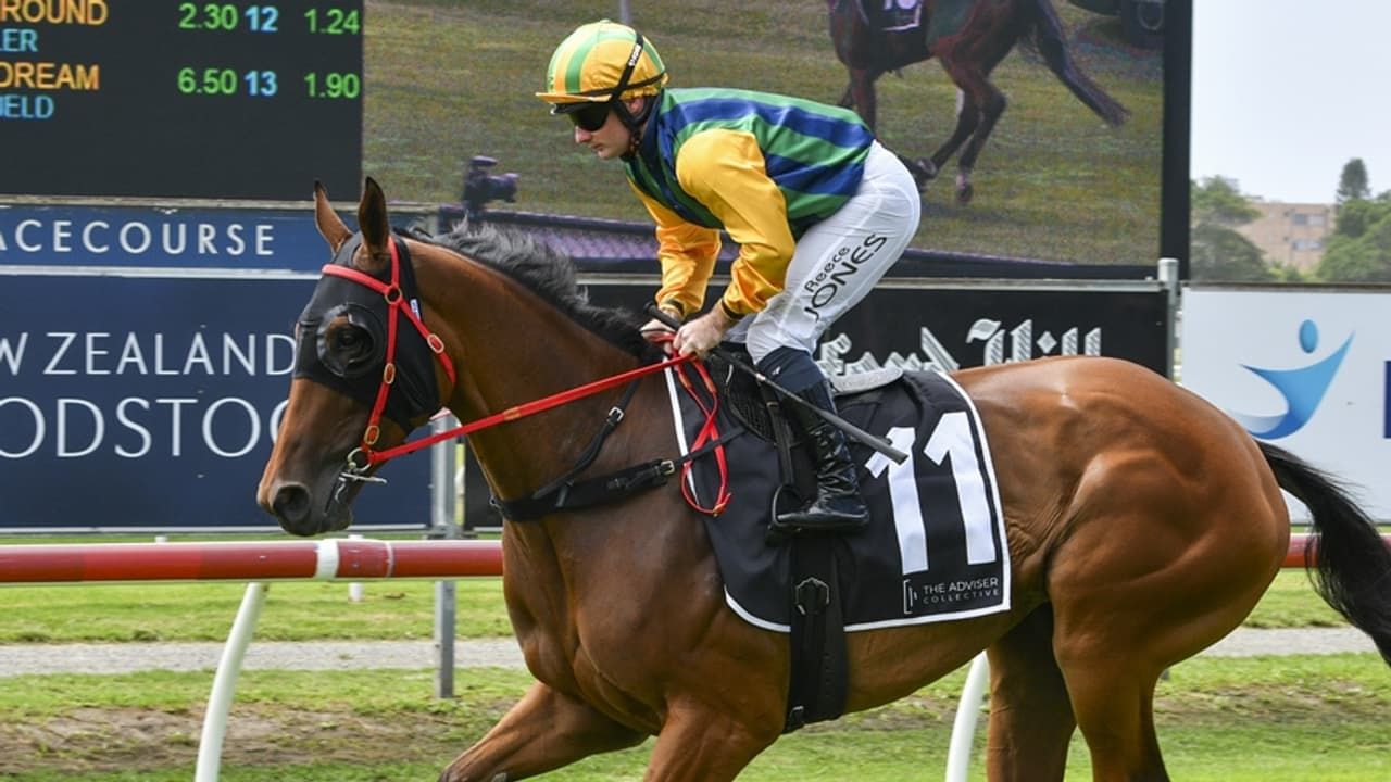 Pride's true colours to shine at Kembla - and Flemington
