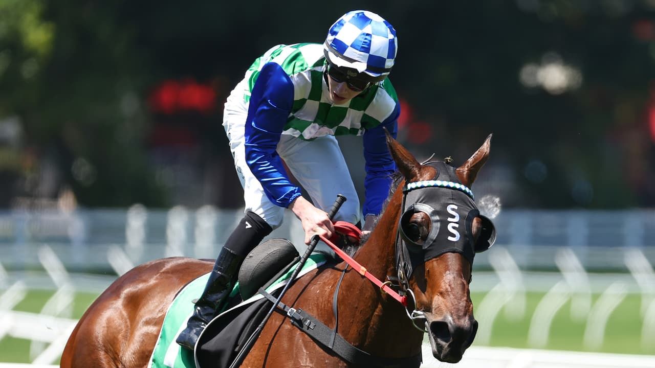 Sickness can't stop Lloyd's Tsunami of city winners