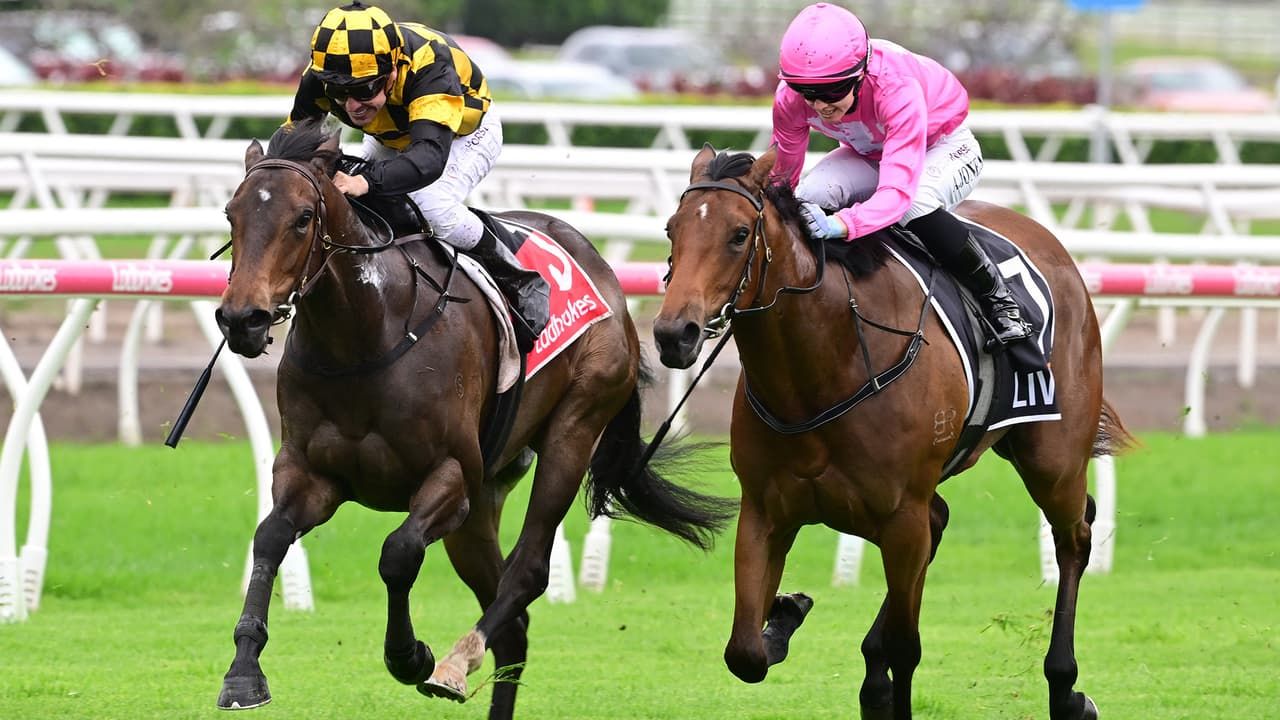 Shailer makes waves on cruise ship with rookie 2YO