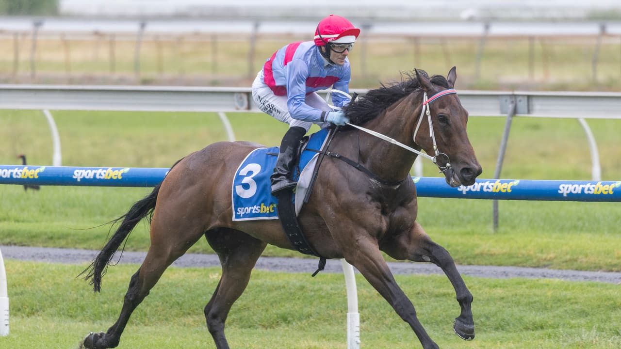 Gower's Flyer thunders to victory after lightning drama
