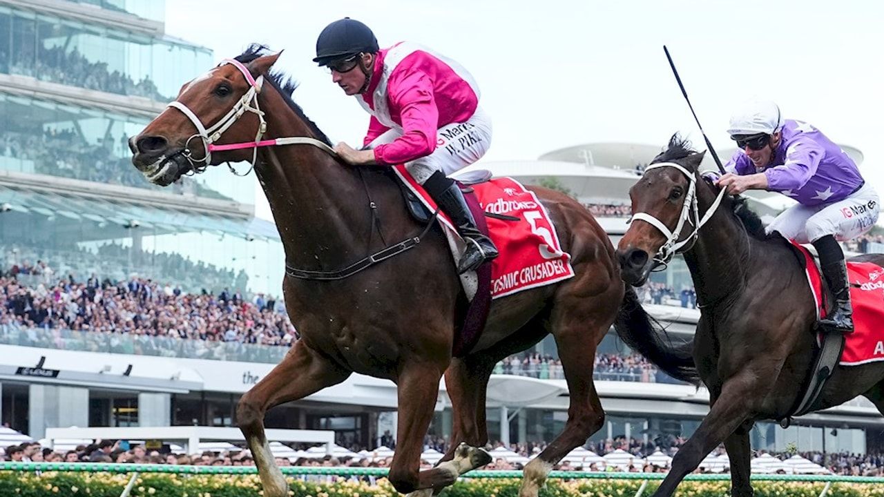 Big bets review: The hits and misses from Cox Plate day