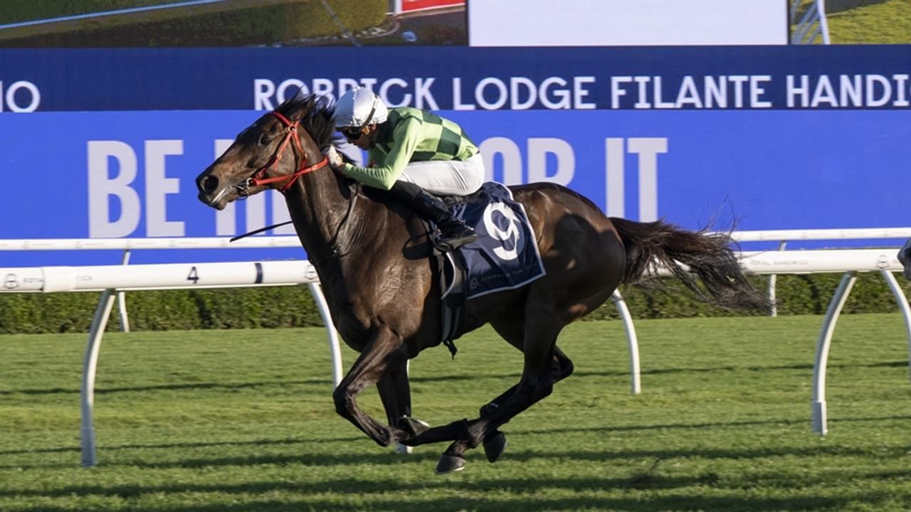 Jett Hatton's blackbook: Five-to-follow from Spring Champion Stakes day