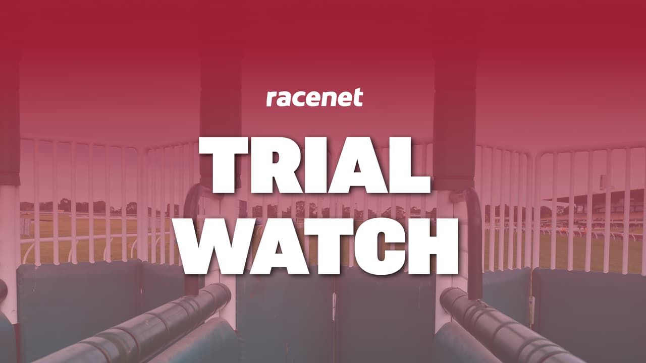 Six horses to follow from last week's Victorian jumpouts