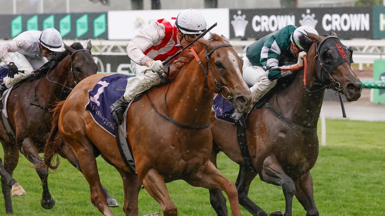 Giga Kick's Group 1 run relies on Flemington rain - Racenet