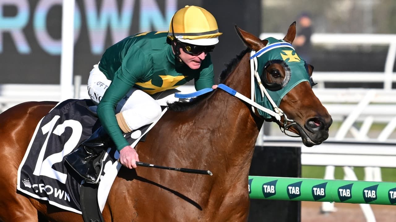 Golden Eagle field: Sheza Alibi the one to beat in capacity line-up