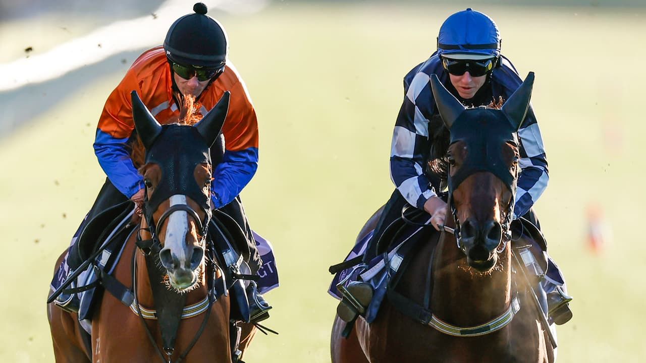 Form stacks up for speedy Sass Appeal in Empire Rose