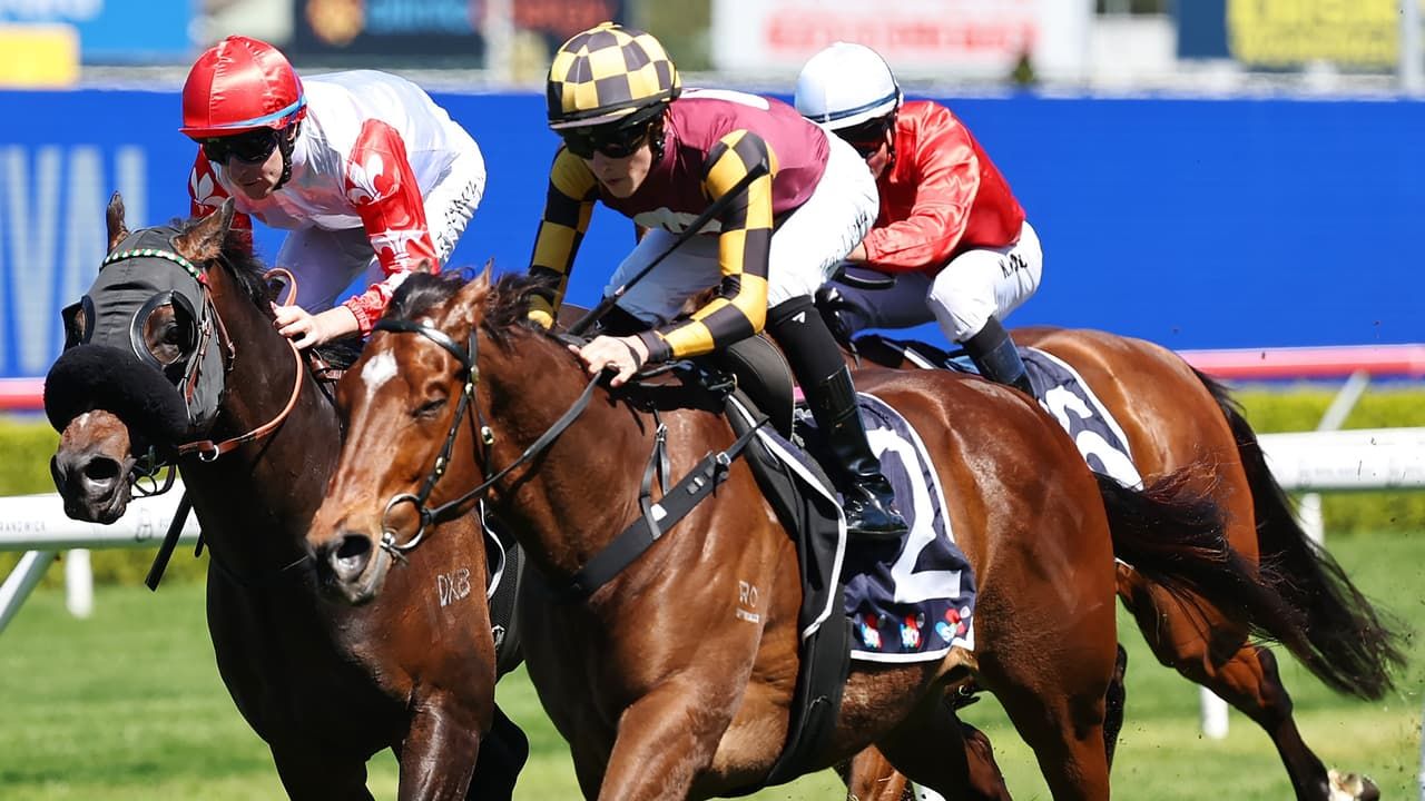 Ible guns for Gold with boom gelding Barrengarry