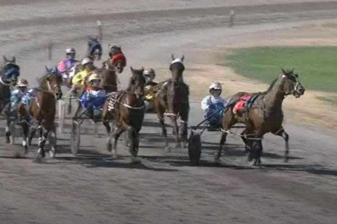 Boort Pacing Cup winner disqualified, dog runs on track