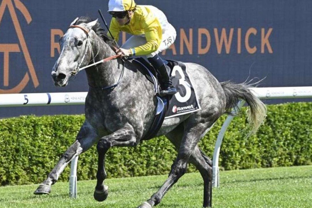 Five futures bets for the Sydney autumn carnival