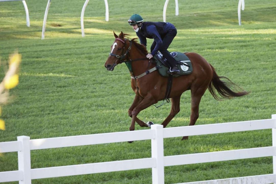 South Australian sprinter Gytrash on track for another shot at The Everest