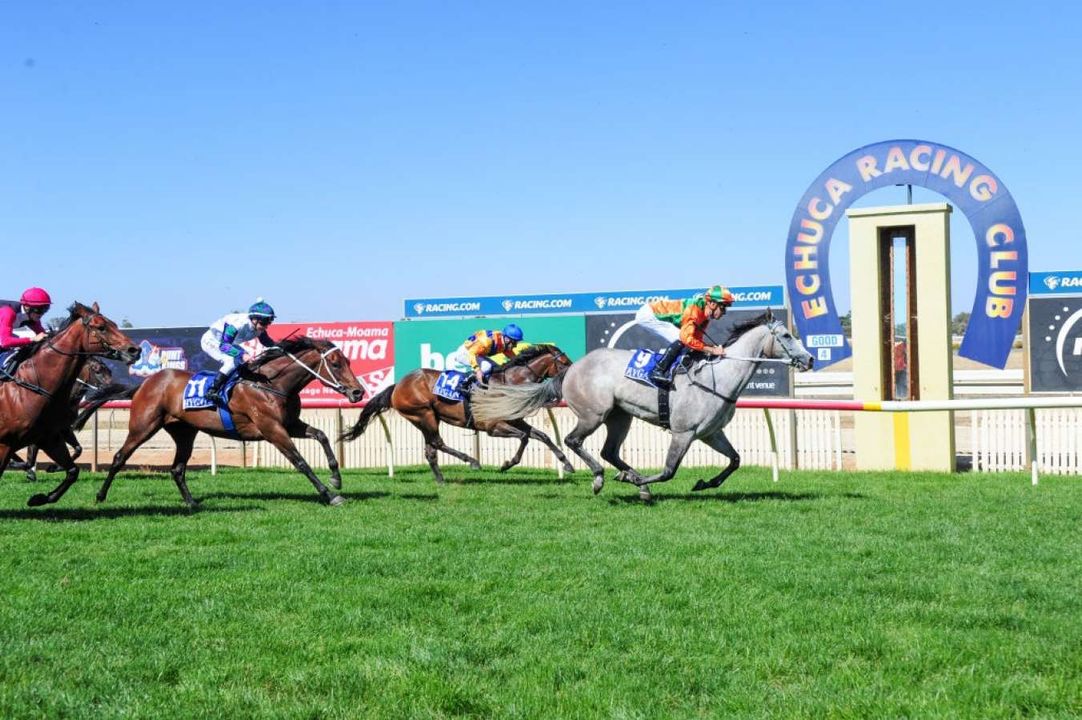 Echuca preview and tips: $23 value bet