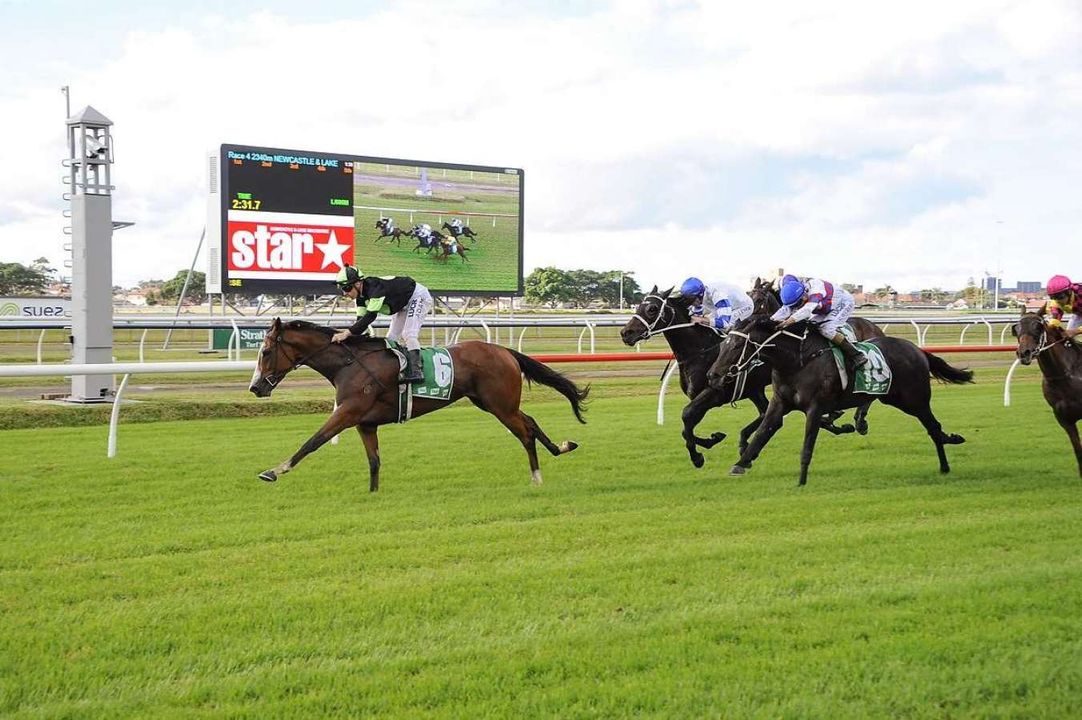 Beaumont, Tamworth preview and tips: $4 best bet