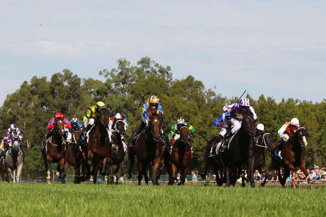 Warwick Farm tips and preview: $7.50 value bet