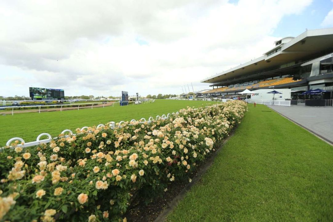 Tips and race-by-race preview for Sunday's meeting at Rosehill [November 7]