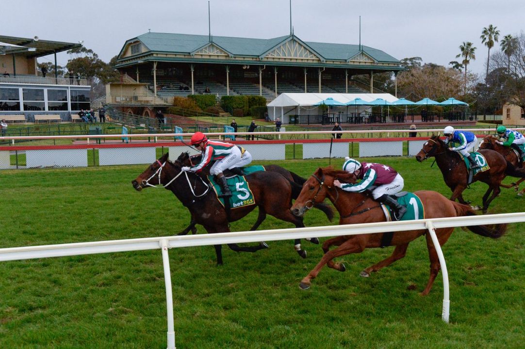 Bendigo preview and tips: $15 value bet