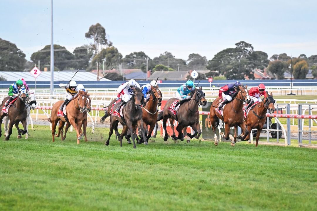 Geelong preview and tips: $18 value bet