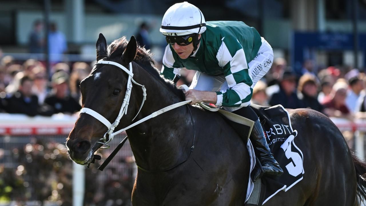 Group 1 target beckons for Angel Capital after stunning return