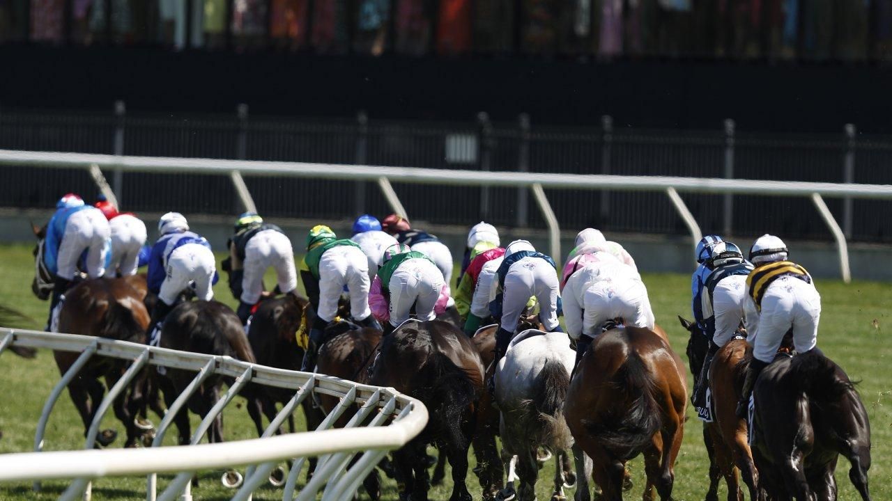 Melbourne Cup 2025 Which horse finished last? — free download