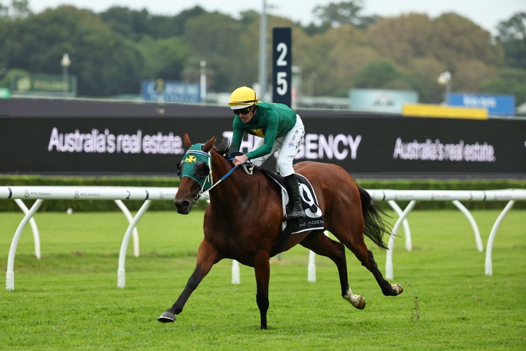 Sheza Alibi toys with the boys in Randwick Guineas romp