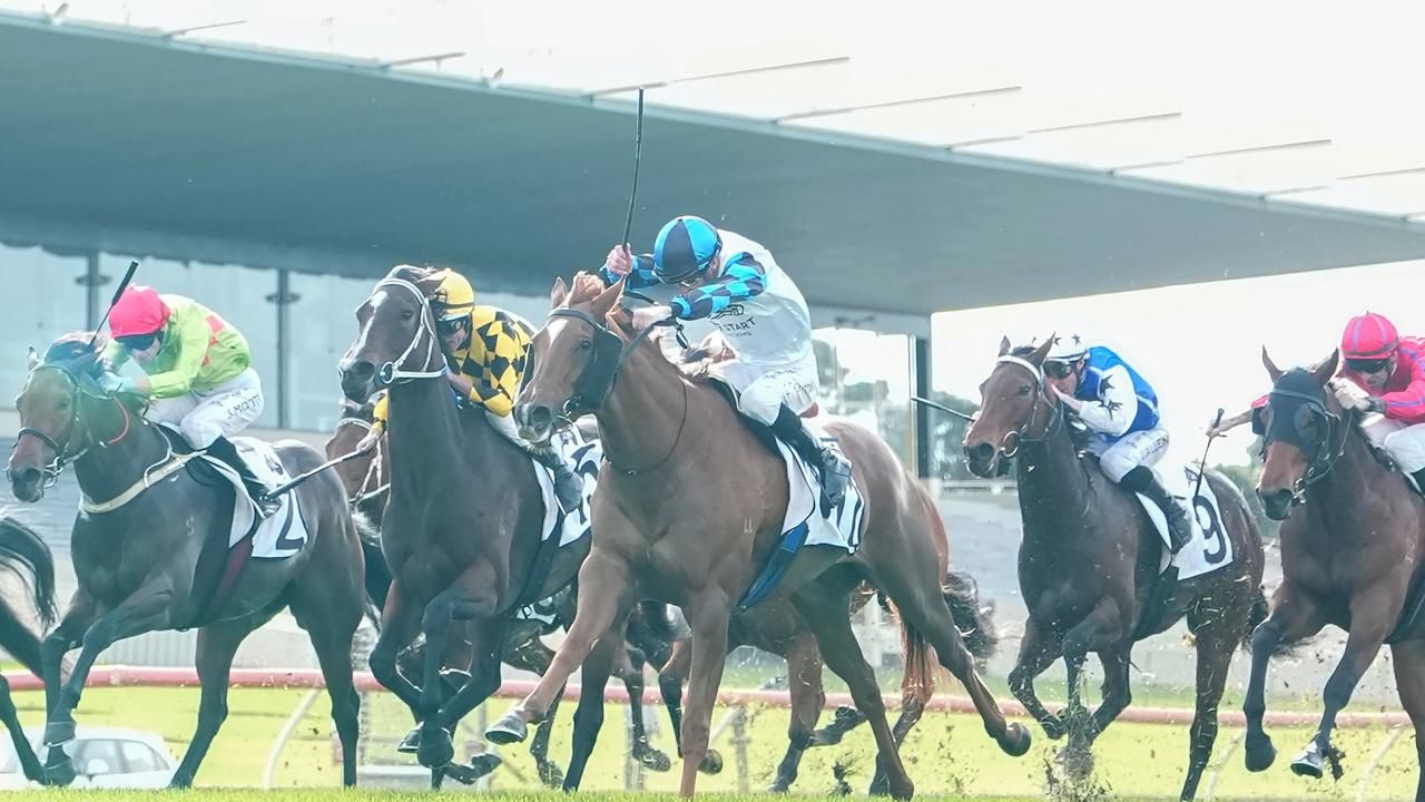 Five horses to follow from Sandown on Saturday