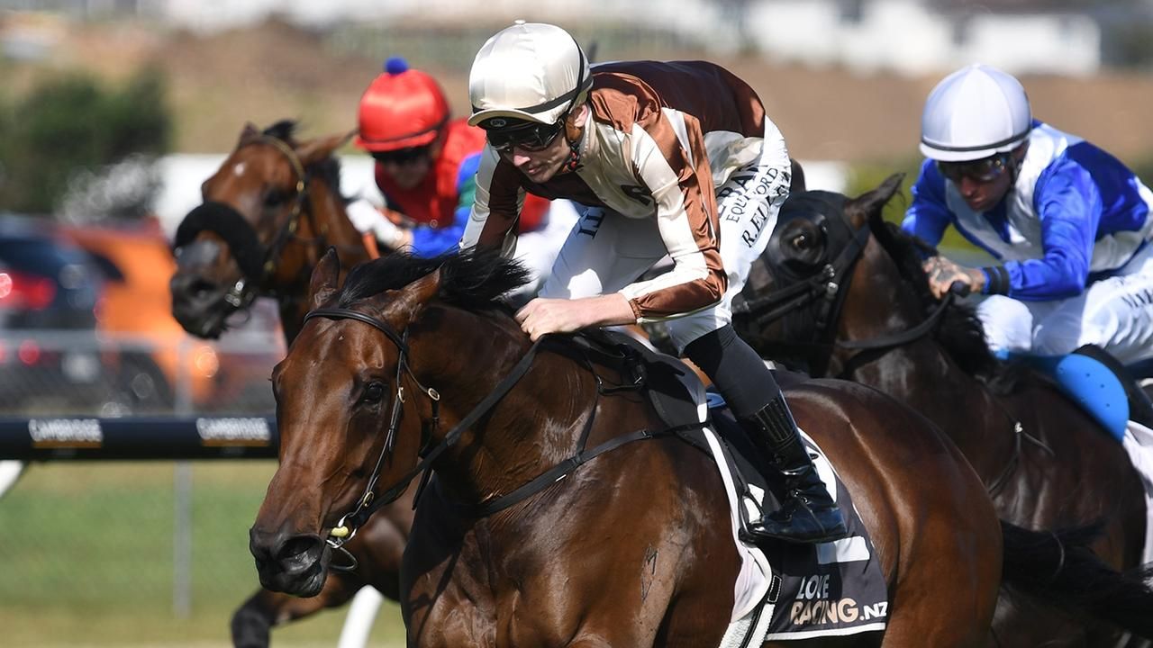 Yulong secure five time Group 1 winner Legarto at Magic Millions National Broodmare Sale