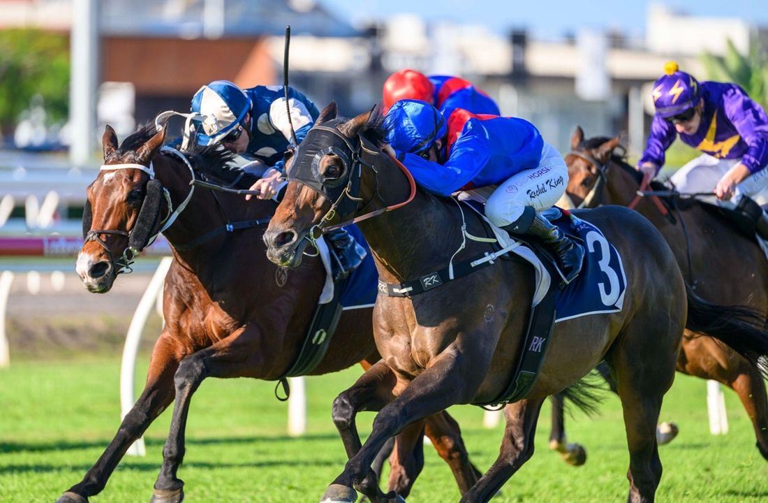 Punters post-race: Saturday racing in review [June 6, 2026]