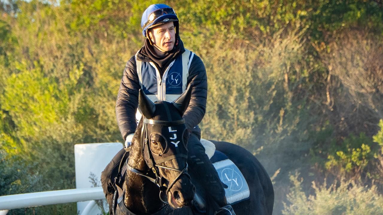 Jockey Blake Shinn reveals return-to-racing timeline after injury
