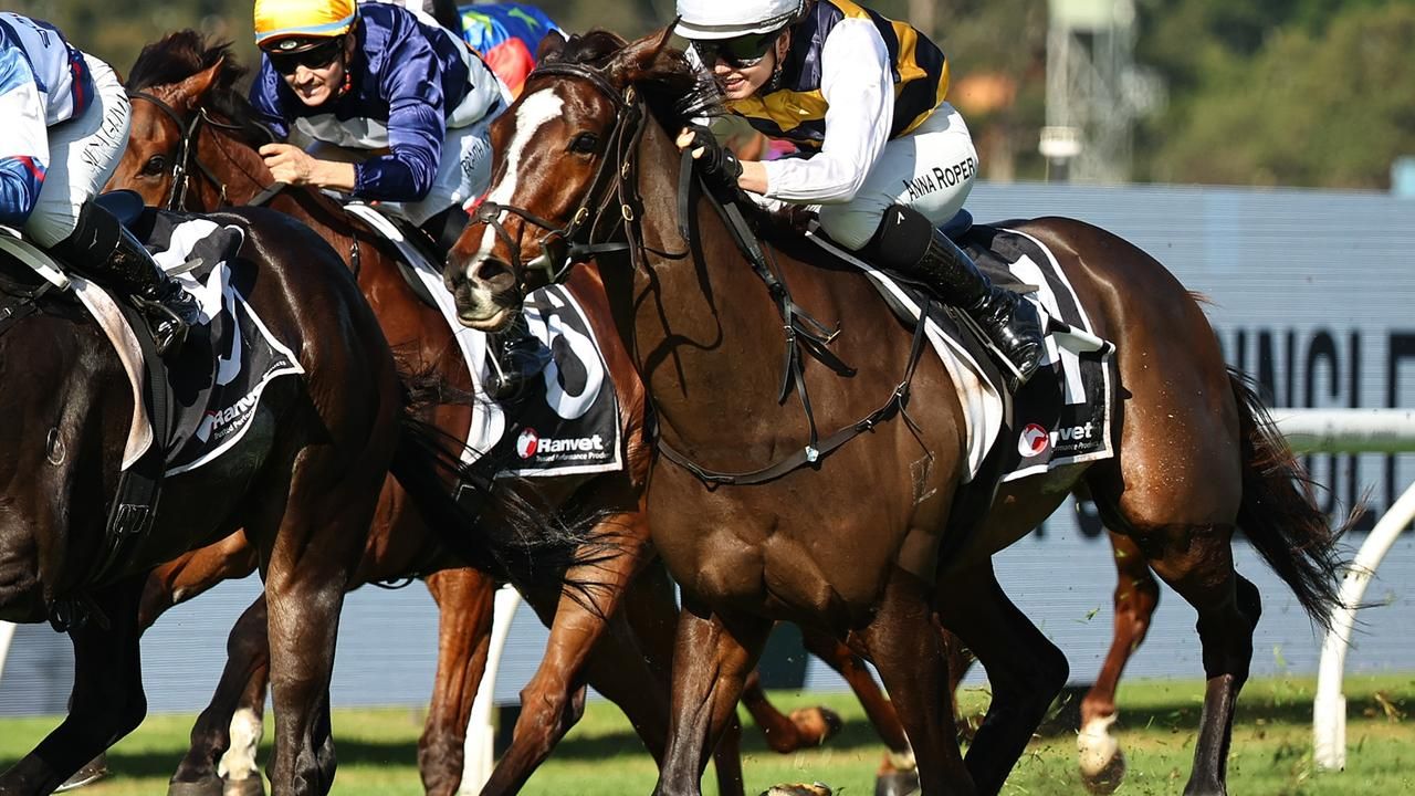 Rosehill preview and tips: $15 value bet