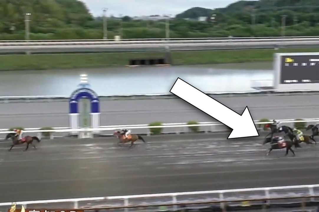 Is this the oldest thoroughbred still racing?